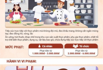 MỨC XỬ PHẠT MỘT SỐ HÀNH VI VI PHẠM QUY ĐỊNH VỀ ĐIỀU KIỆN BẢO ĐẢM AN TOÀN THỰC PHẨM TRONG SẢN XUẤT KINH DOANH