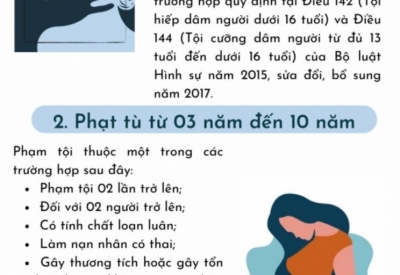 TỘI GIAO CẤU HOẶC THỰC HIỆN HÀNH VI QUAN HỆ TÌNH DỤC KHÁC VỚI NGƯỜI TỪ ĐỦ 13 TUỔI ĐẾN DƯỚI 16 TUỔI
