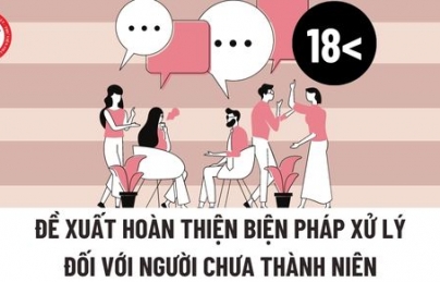 Đề xuất hoàn thiện biện pháp xử lý đối với người chưa thành niên