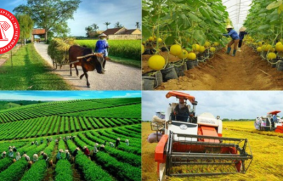 Đề xuất nhiều chính sách hỗ trợ để phát triển hợp tác xã