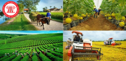 Đề xuất nhiều chính sách hỗ trợ để phát triển hợp tác xã