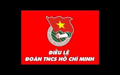 Điều lệ đội