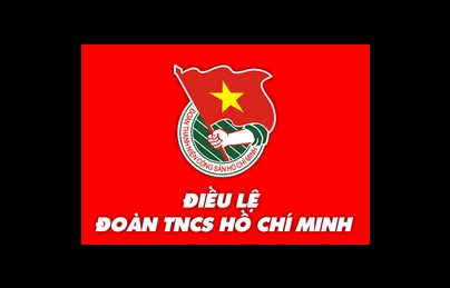 Điều lệ đội