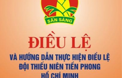 Hướng dẫn điều lệ đội