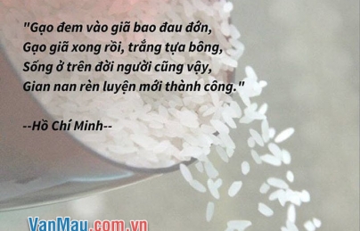 MẪU CHUYỆN VỀ BÁC HỒ